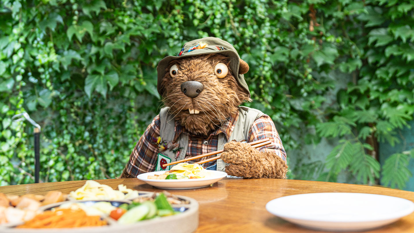 Puppet beaver holds chopsticks with a dish of food