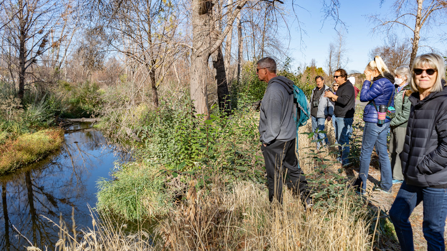 Several people look towards a creek to try to spot salmon on a guided hike.