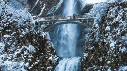 Multnomah Falls and the bridge surrounding by snow-covered trees and foliage.