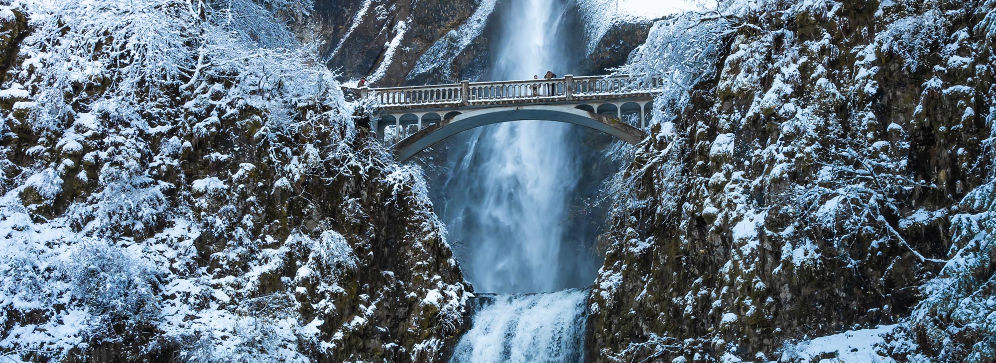 Multnomah Falls and the bridge surrounding by snow-covered trees and foliage.