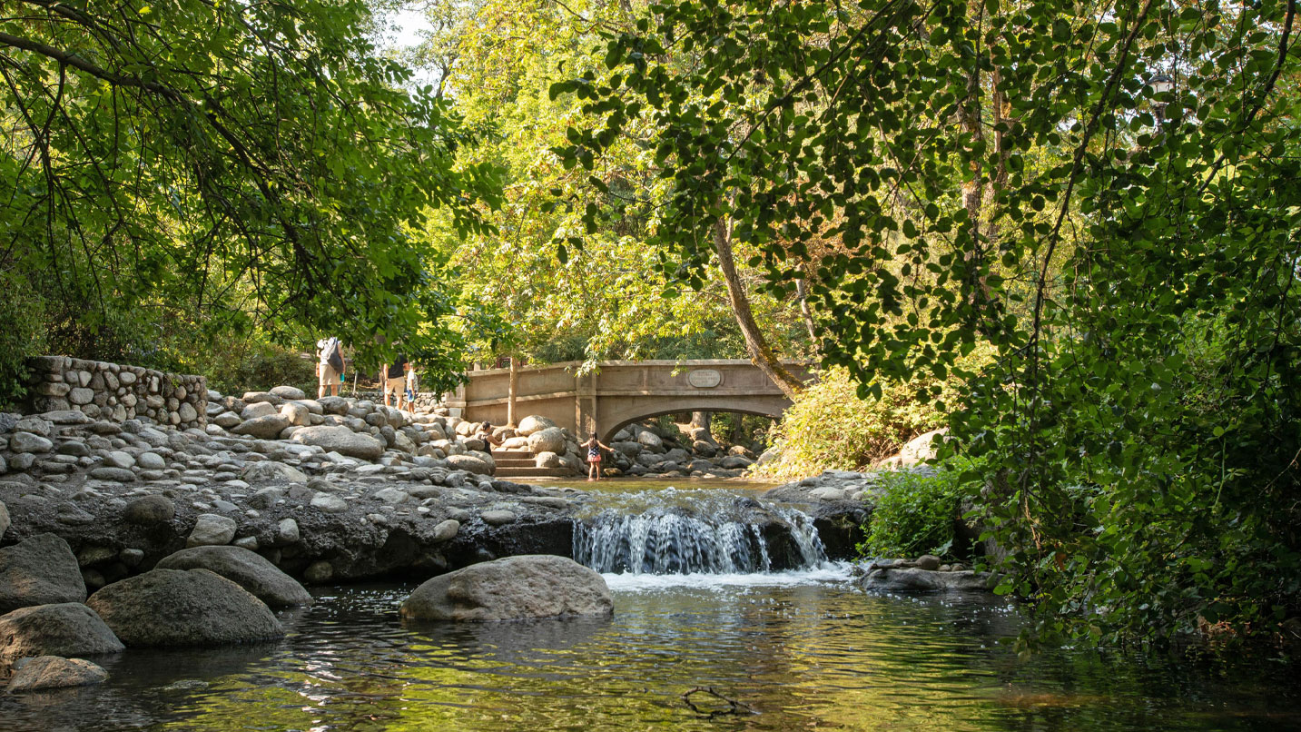 A wooden foot bridge crosses a small waterfall in a wooded park.