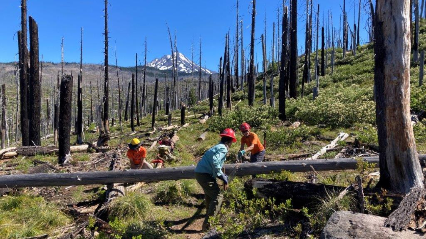 People wear hard hats and do trail work against a forest and mountain background