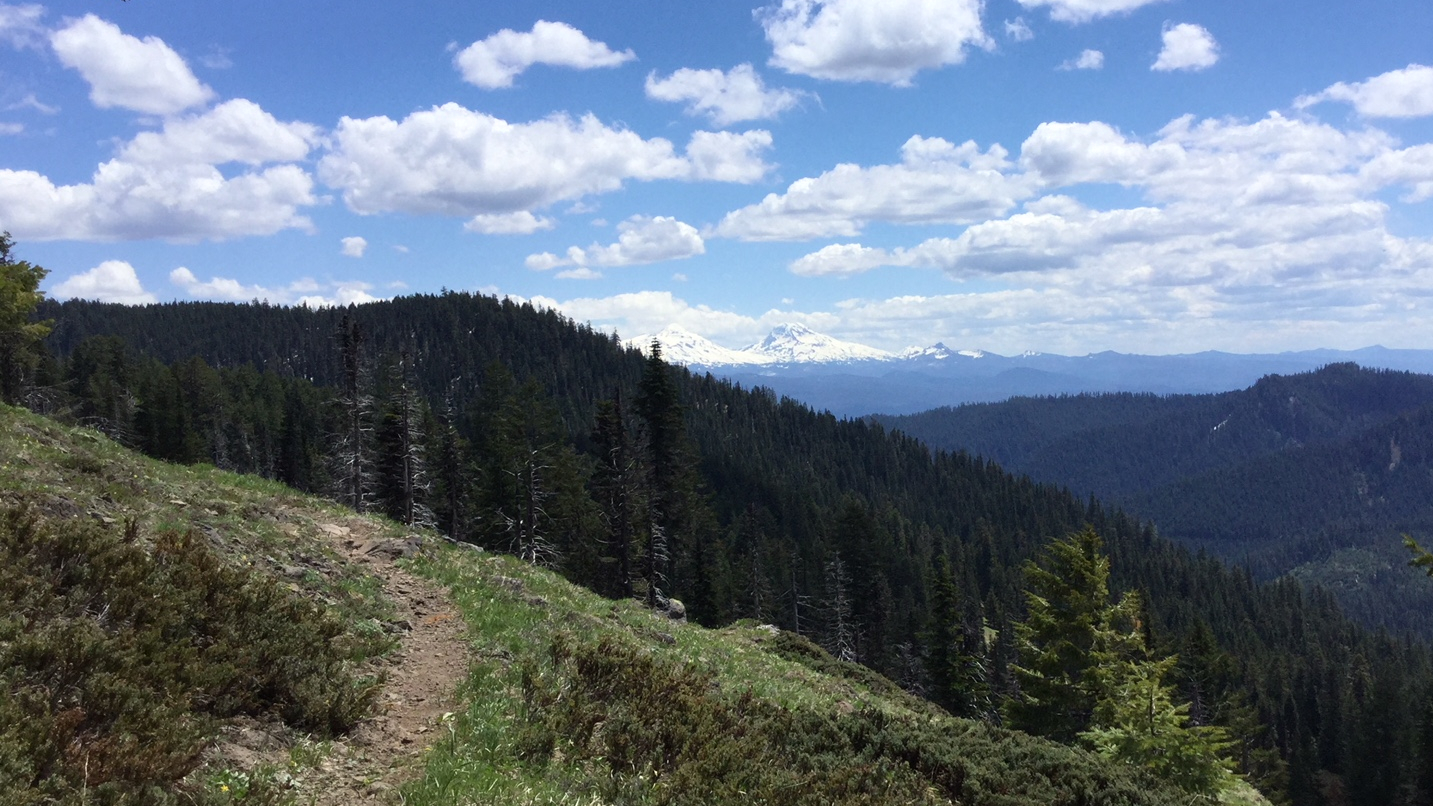 Mountain range with blue sky, clouds, trees and trail in foreground