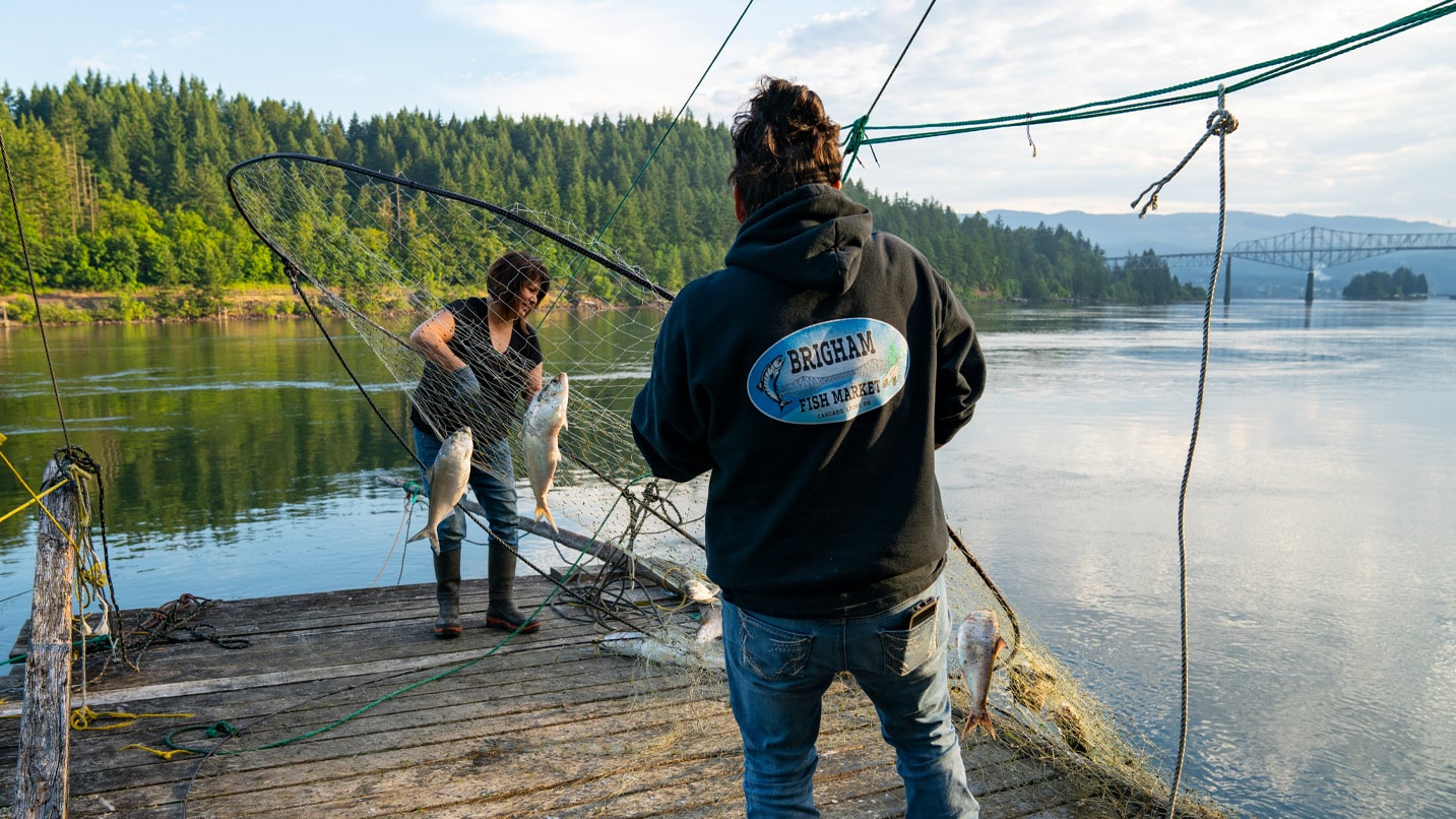 Two native women catch fish in large nets along the Columbia River.