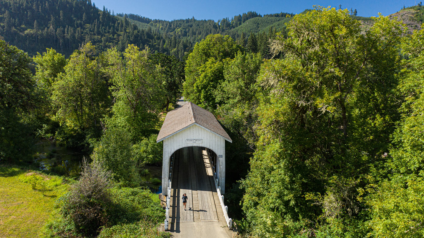 A person running through a covered bridge surrounded by lush green foliage.