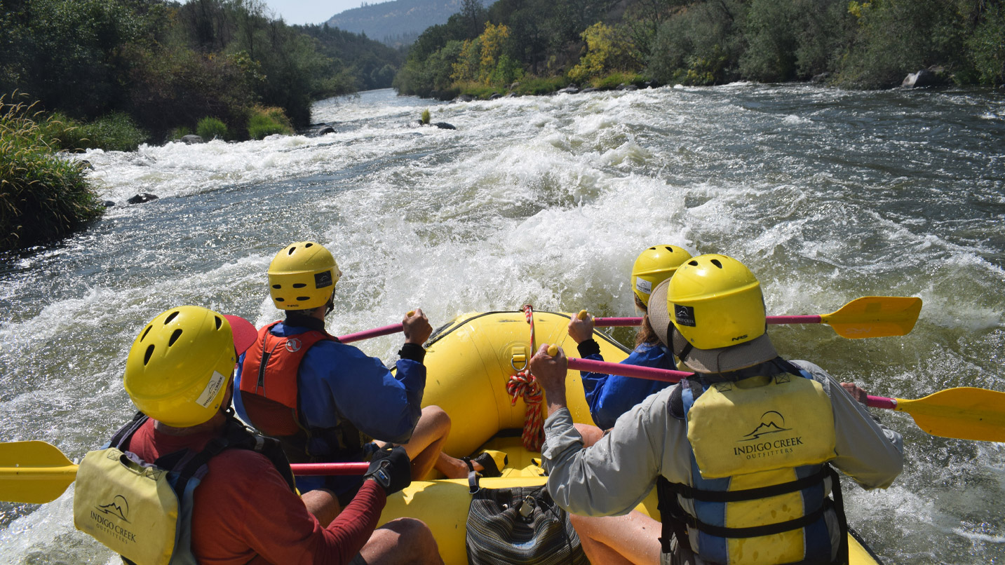 People in a raft paddle down a river.