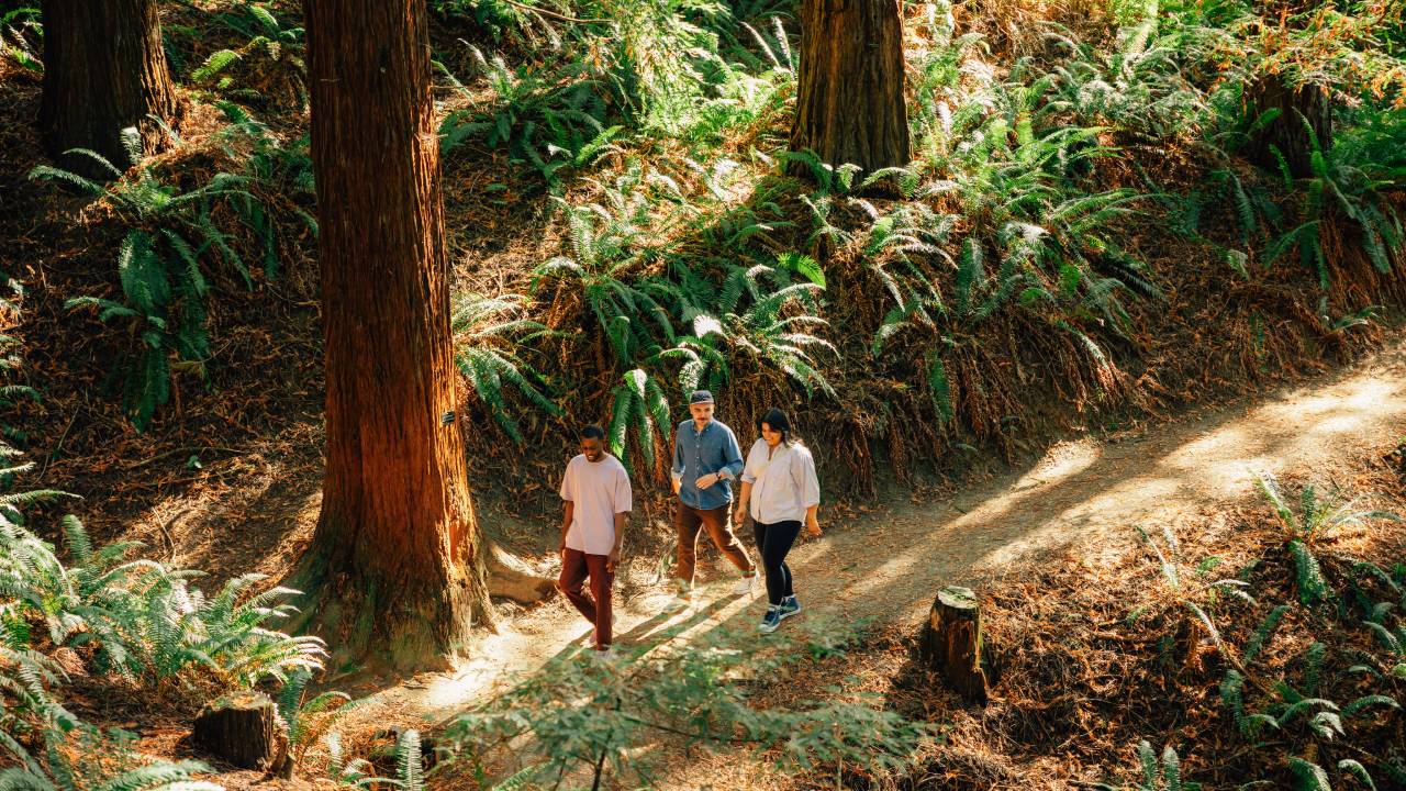 Thee people on a casual hike through a lush green trails in Portland's Washington Park.