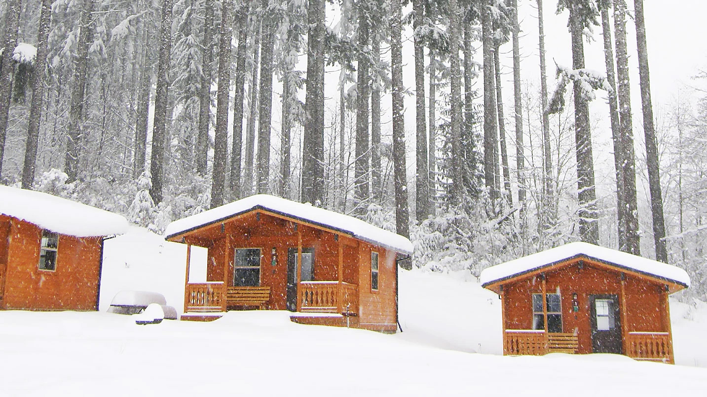 Small wood cabins surrounded by snow in a forest.