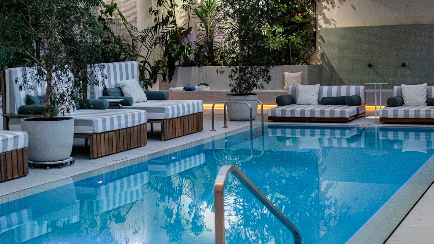 Rectangle pool with daybed chairs on the deck and live plants in background