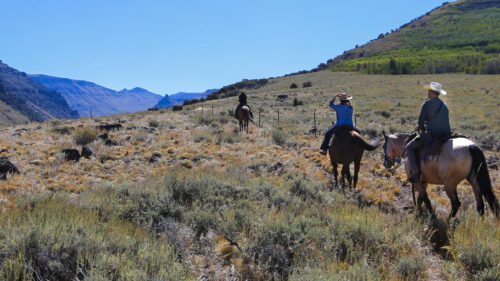 Three people ride horses through a field with a backdrop of mountain ranges.