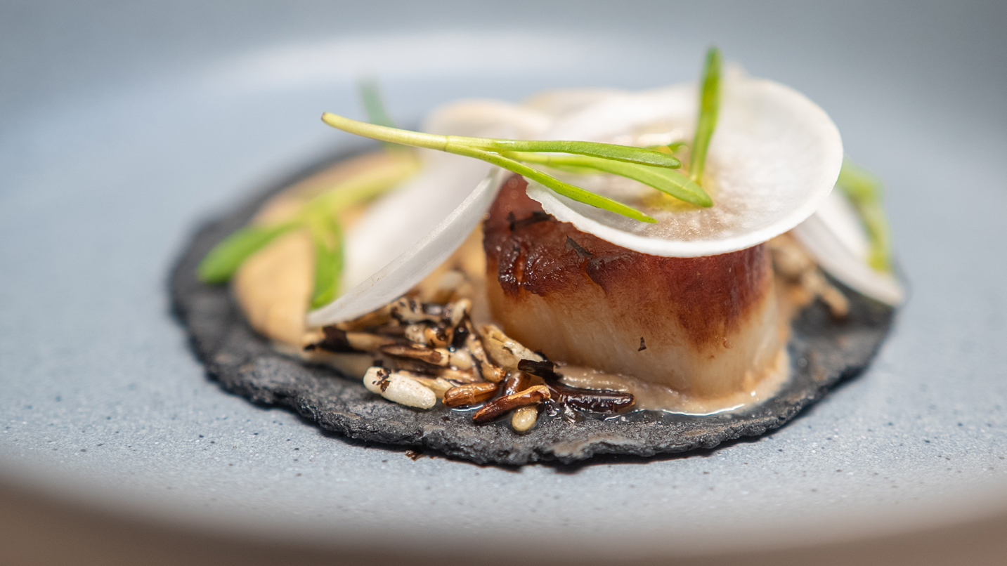 A beautifully plated dish.