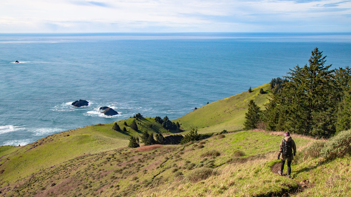 A person walks down a trail overlooking the ocean.