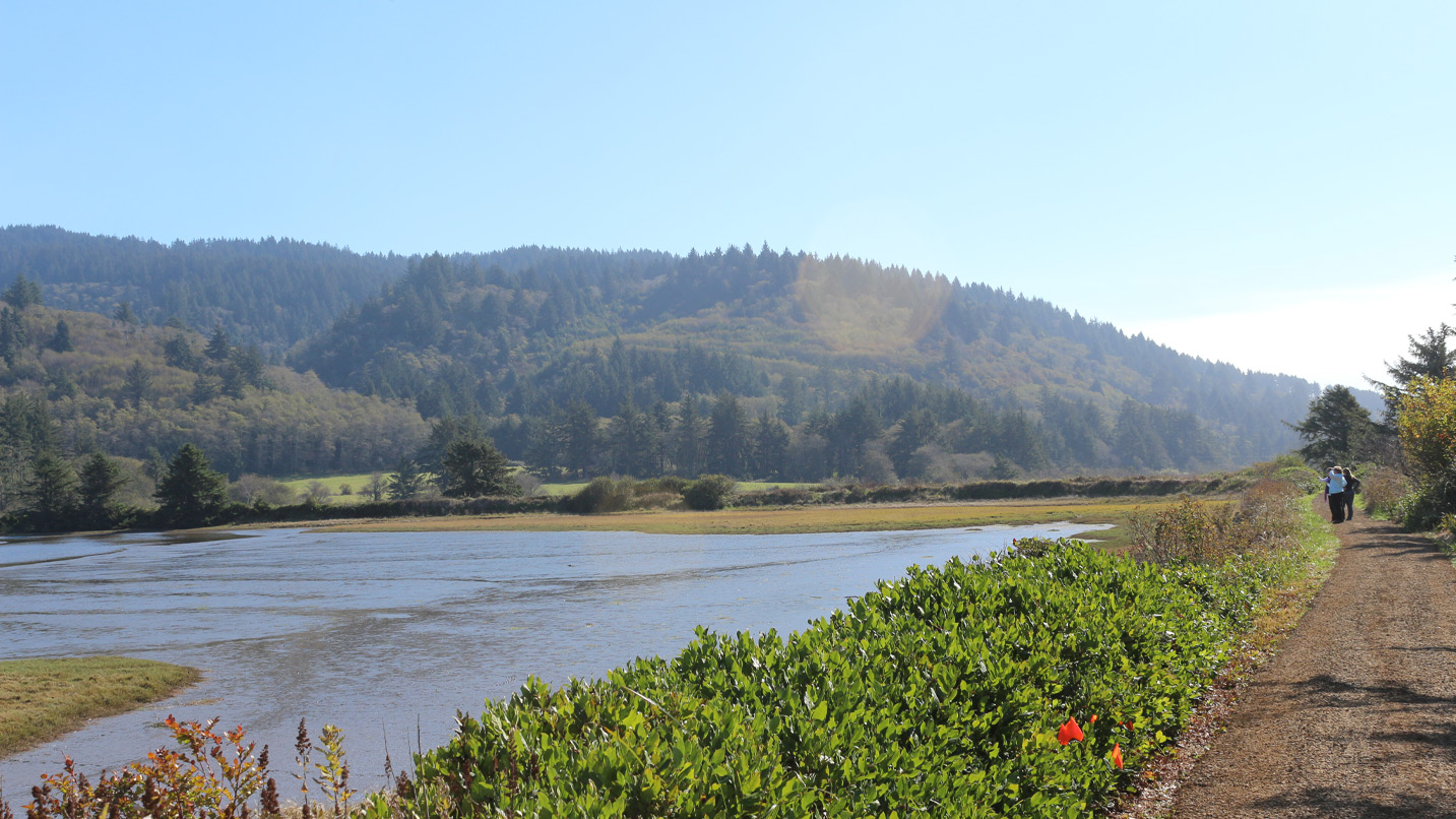 A trail alongside water and looking towards a hillside.