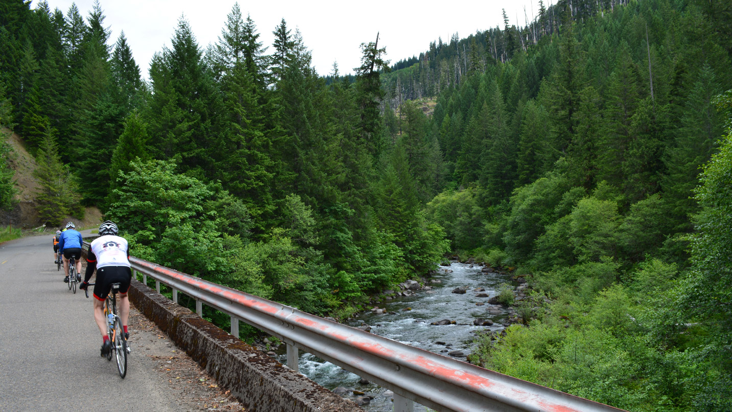 Cyclists riding on a road next to a small river and forest.