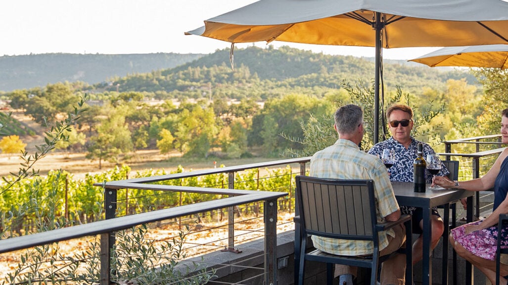 People sit on an outdoor patio overlooking vineyards.