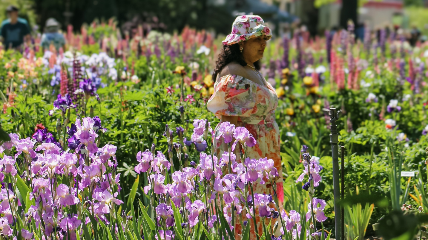 Woman in colorful dress stands in garden full of colorful flowers