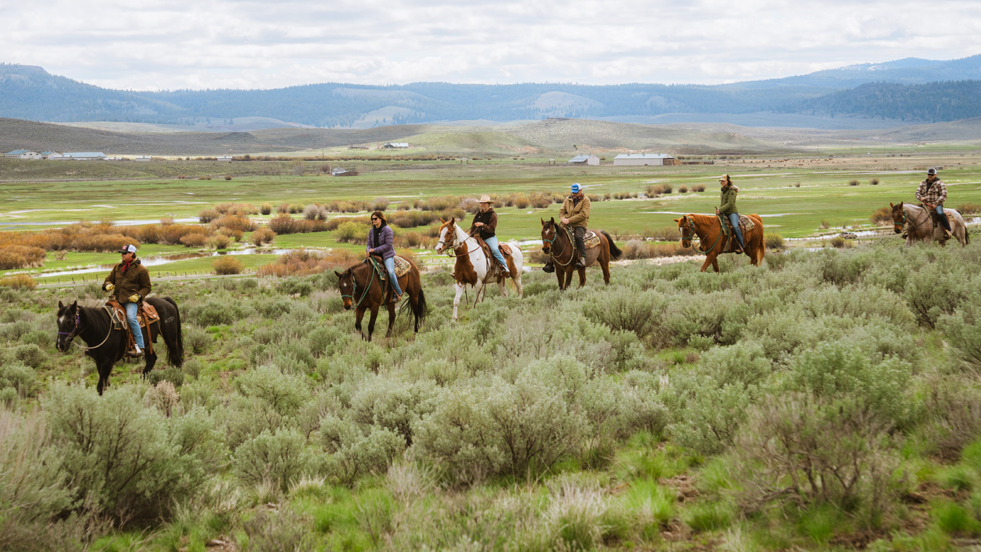 A group of people ride horses through sagebrush.