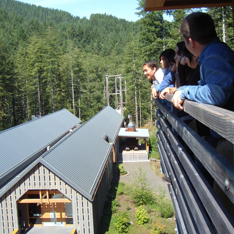 People peer out from a fire lookout tower.