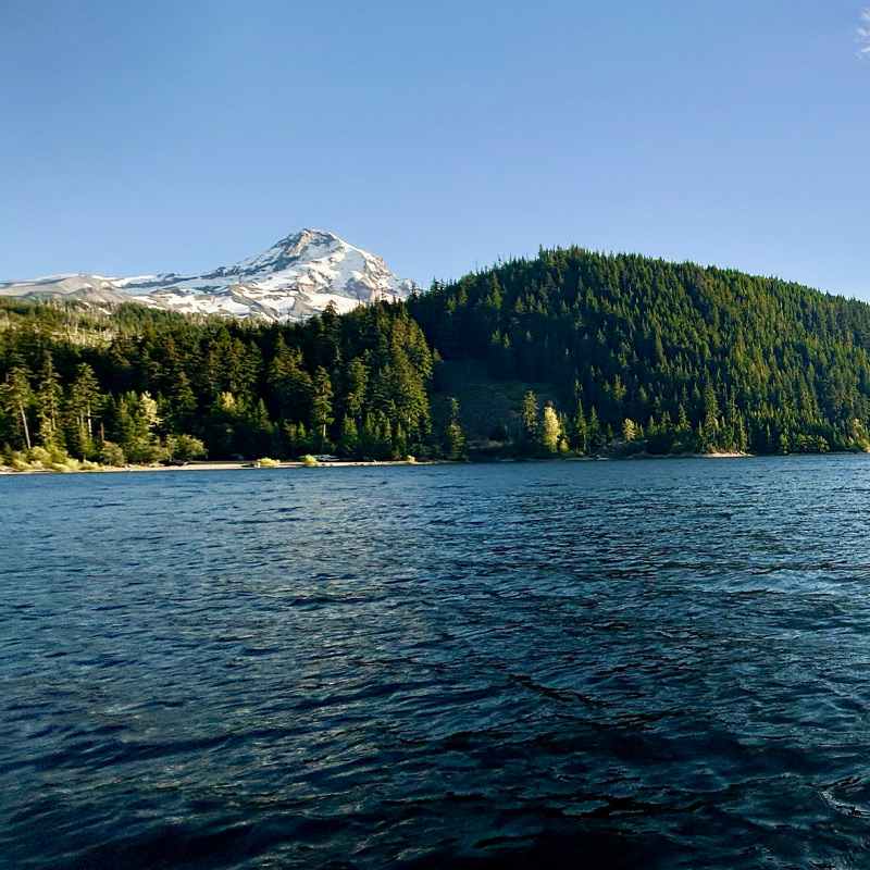 A lake is flanked by a hillside forest and snow-capped mountain.