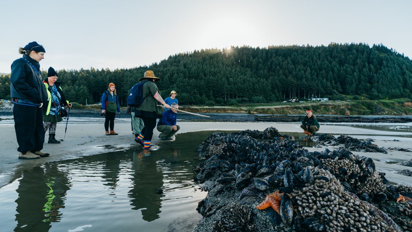 A group of people around a large tidepool as a guide points to a large rock covered in mussels.