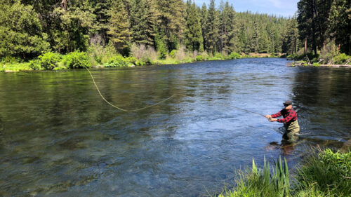 A man casts a fly-fishing rod as he stands in a waist-deep river.