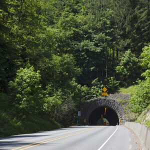 A roadway tunnel goes underneath a forest.