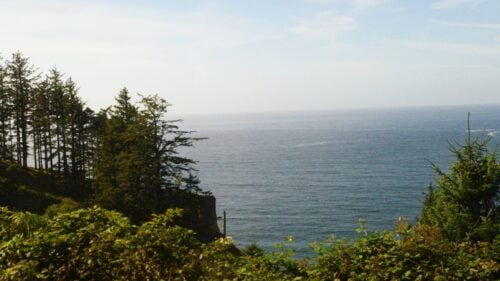 A coastal viewpoint surrounded by trees along a cliff.