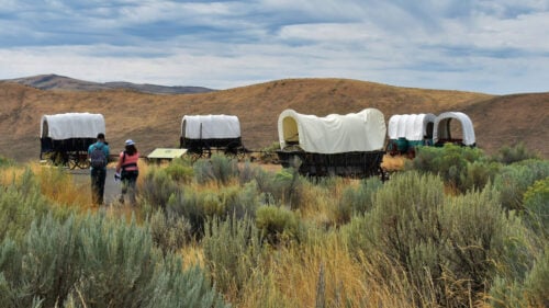 A group of covered wagons.