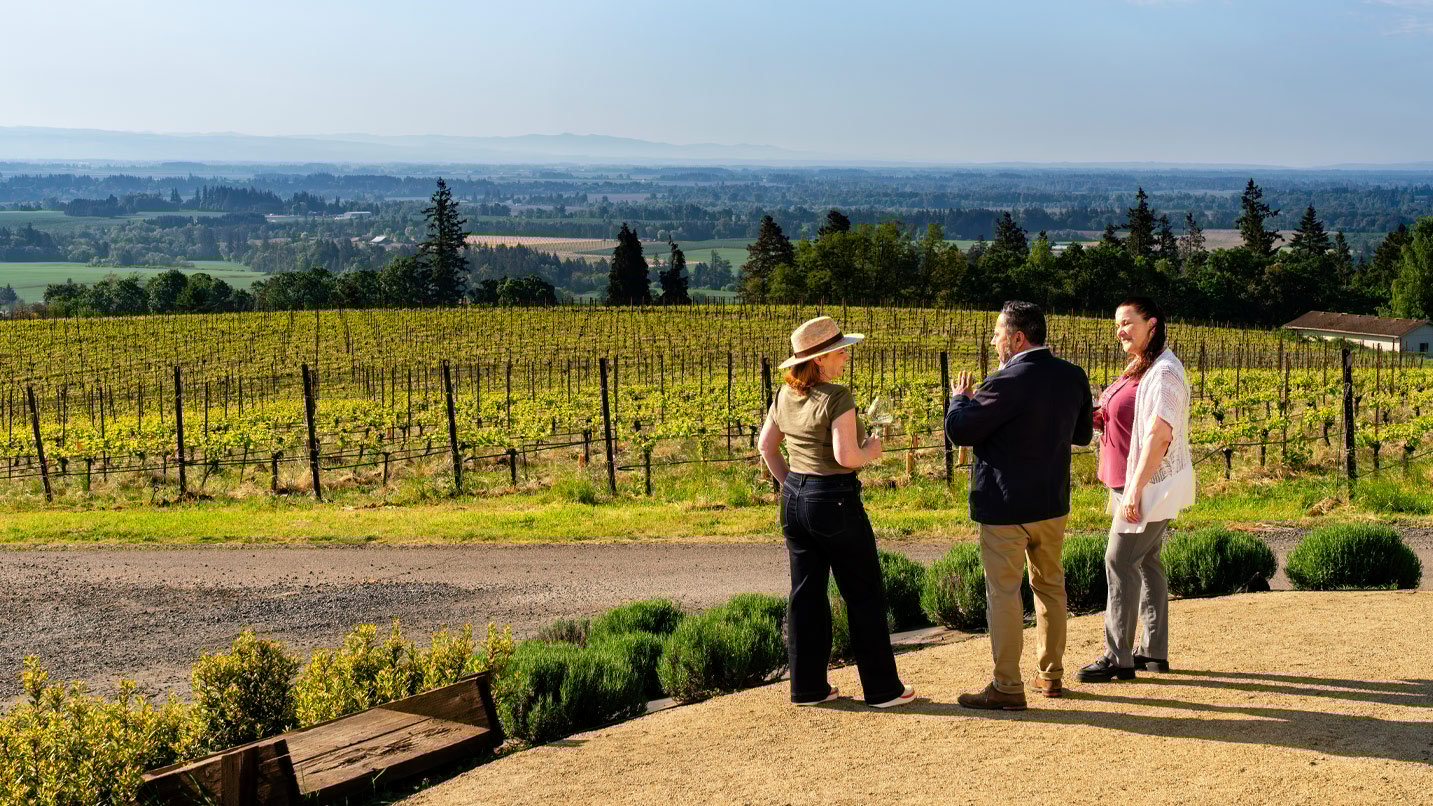 Three people drinking wine on a patio overlooking a vineyard.