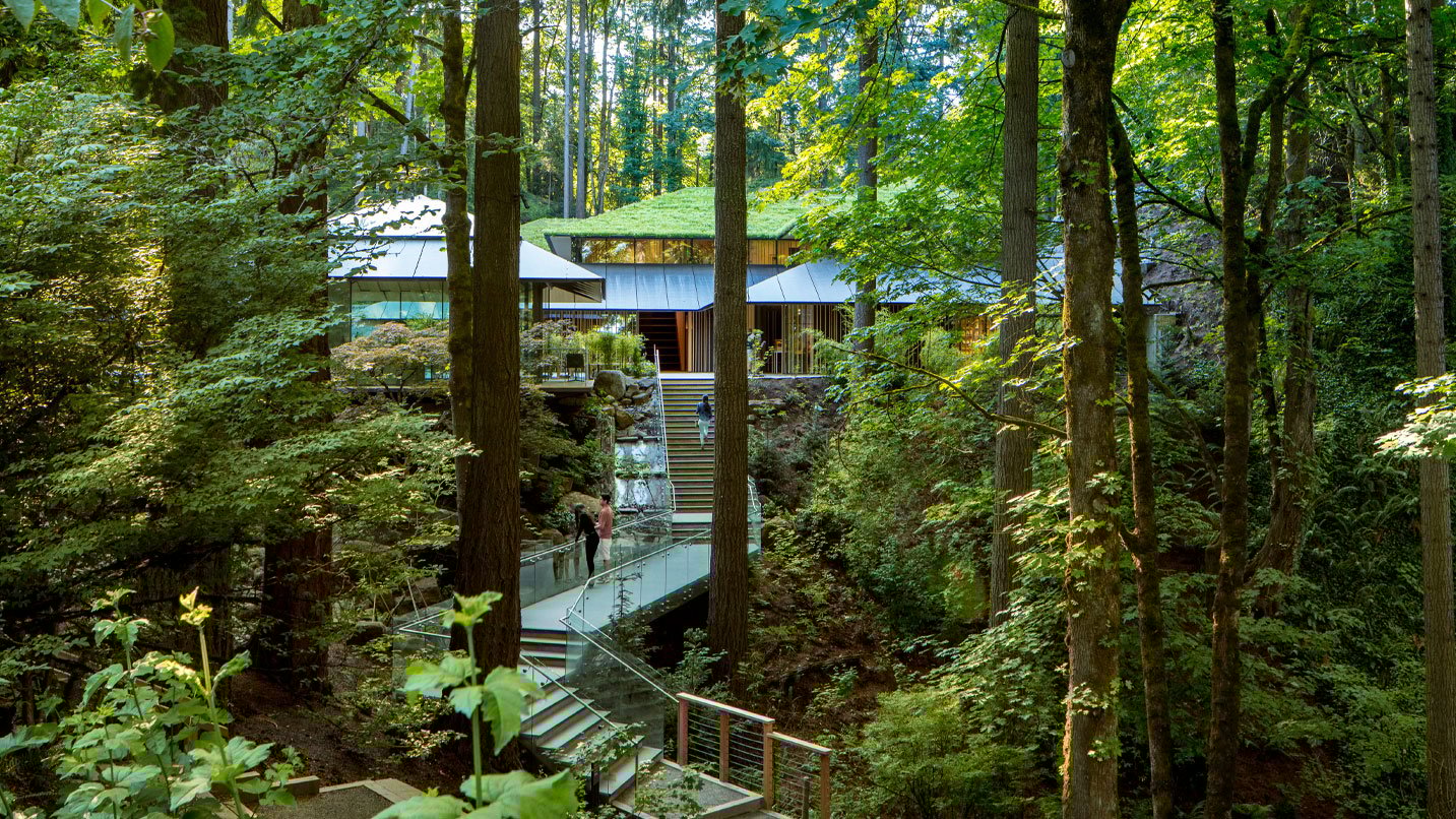Wide shot of towering trees surrounding a modern building at the Japanese Garden.