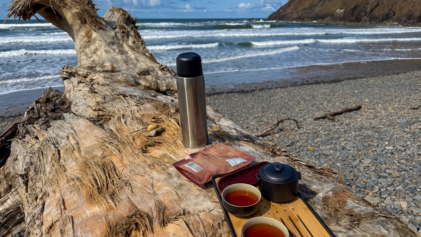 Tea sitting on a log at the beach.