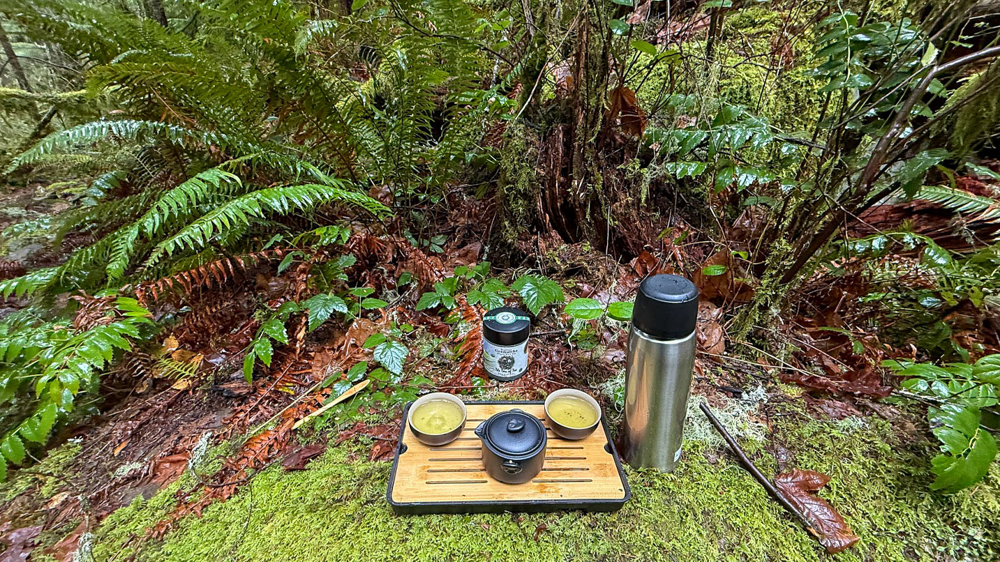 A tea set in the woods.