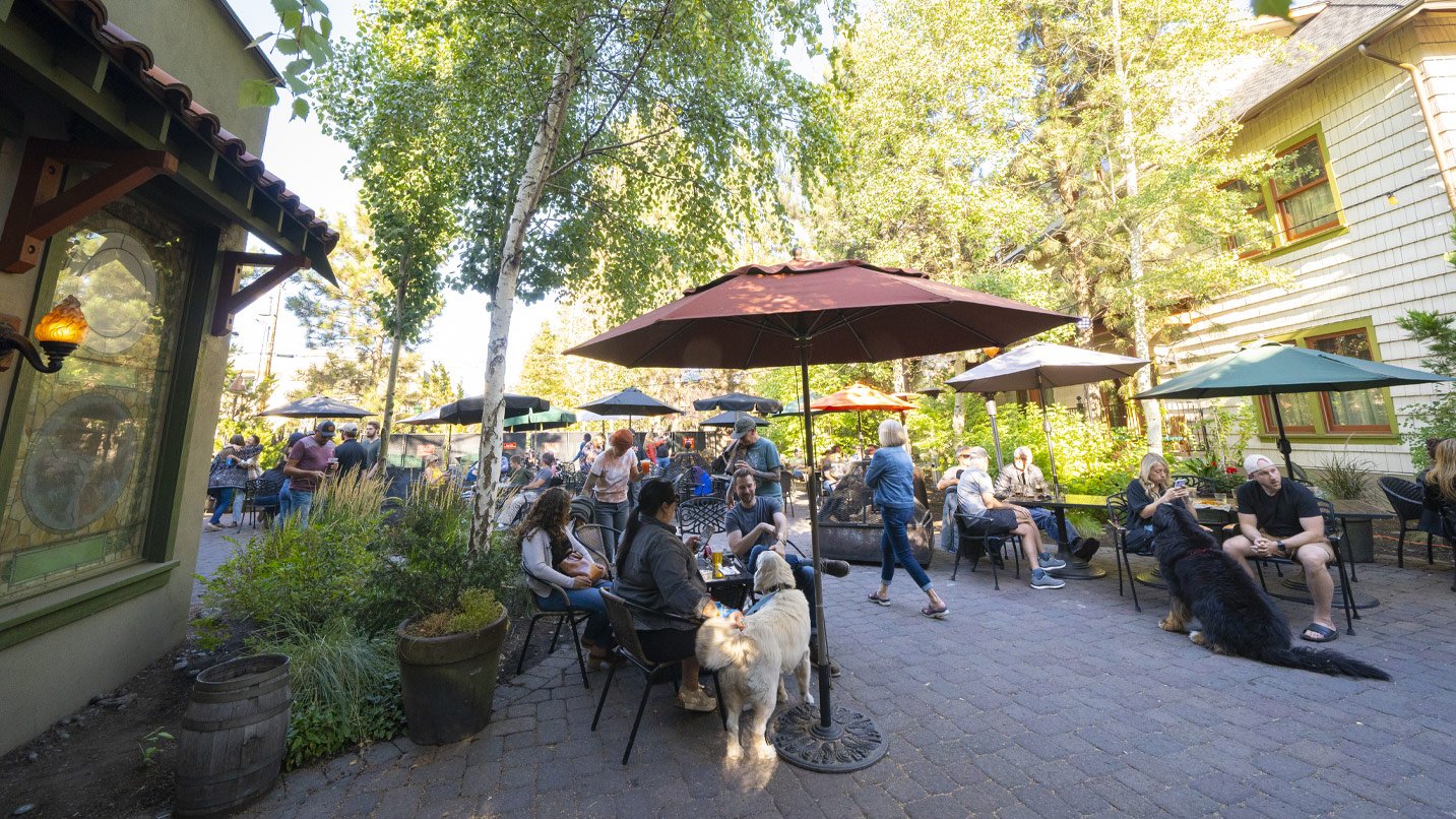 An outdoor seating patio, where several guests and their dogs sit at covered tables.