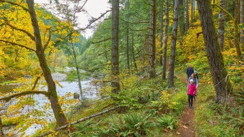 A family hikes alongside a river with fall foliage.