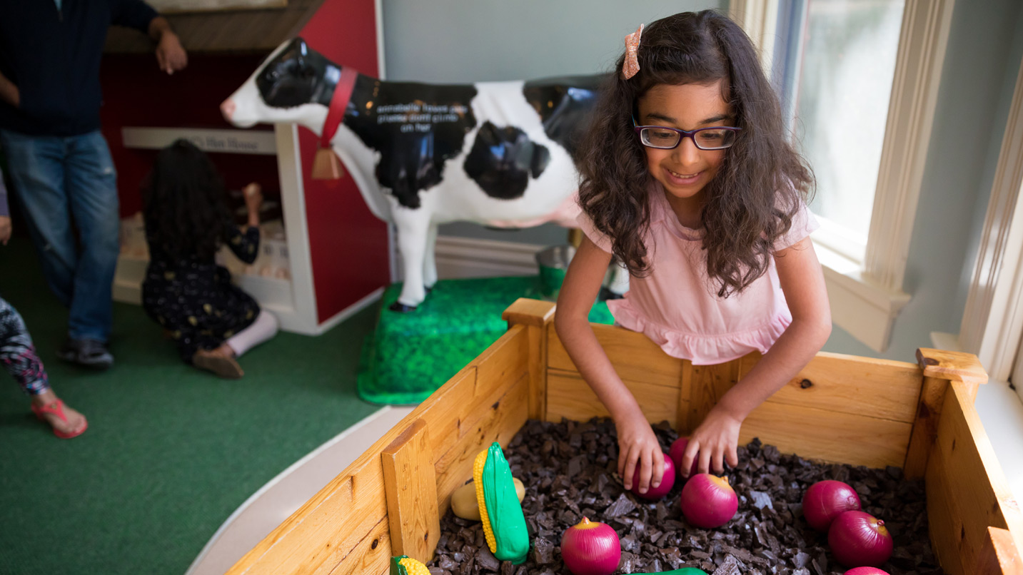 A child plays in a toy vegetable garden.