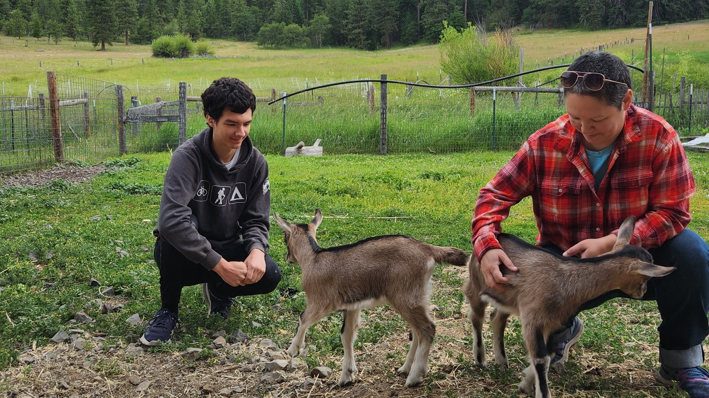 Teenager and woman kneel to pet baby goats, with fence and grass in background