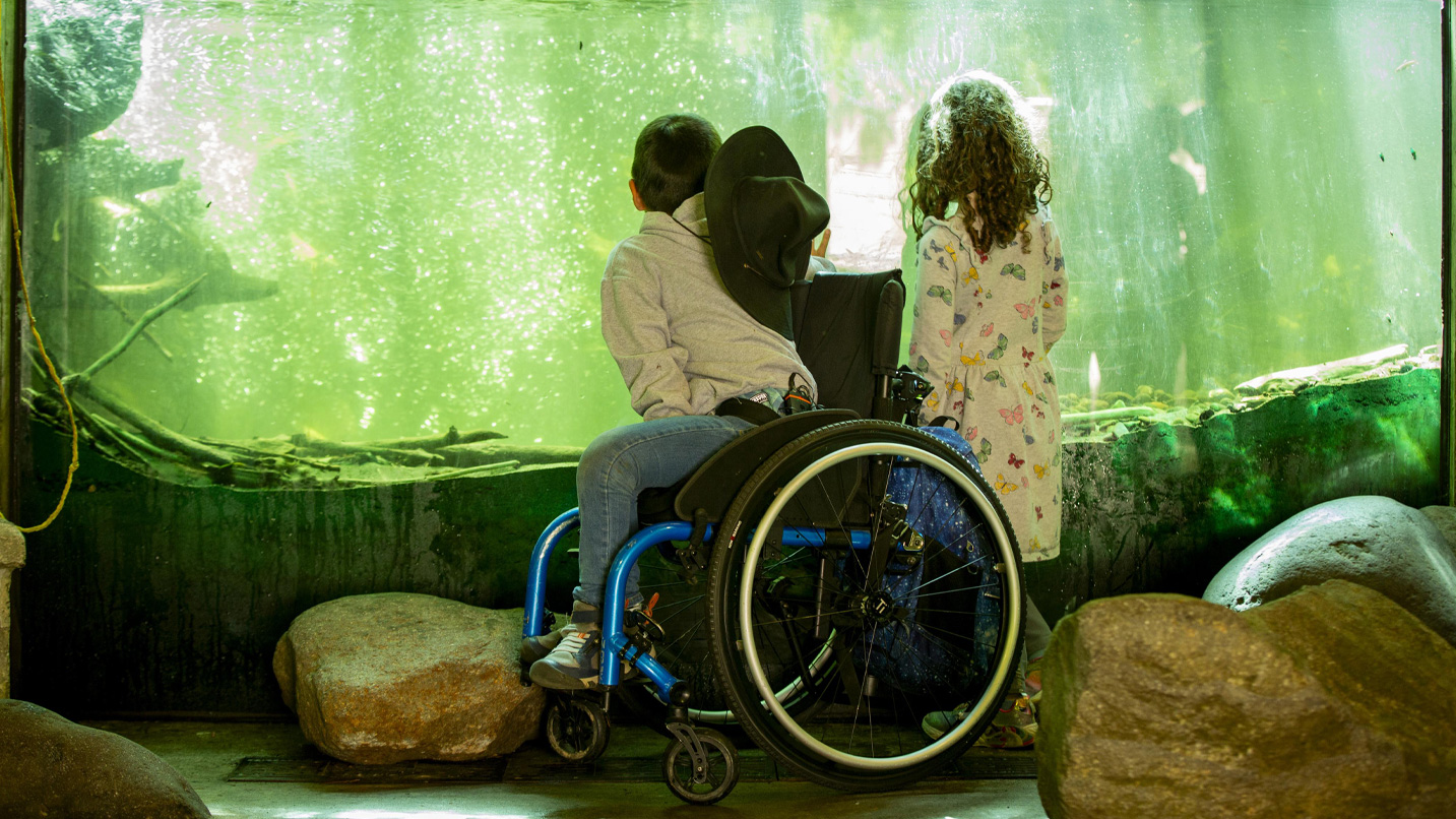 A young boy in a wheelchair and a young girl looking for fish at a exhibit.