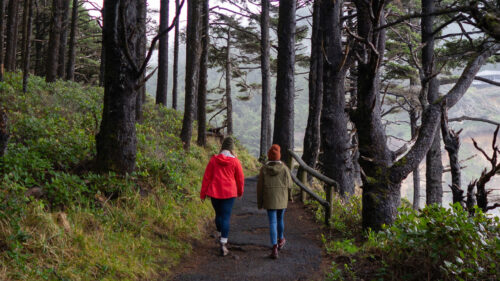 Two people walking along a nature trail with views of the coast.