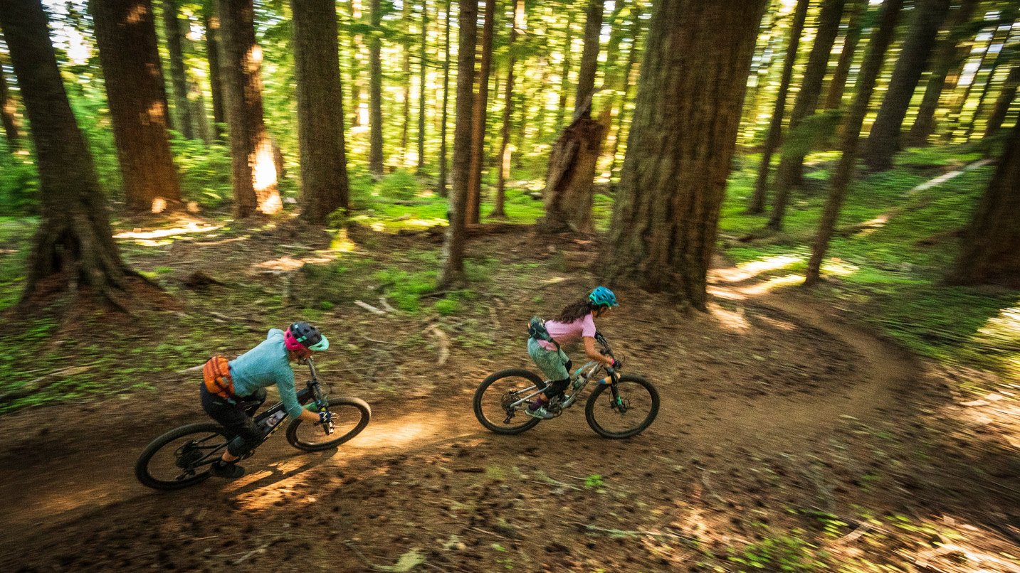 Two mountain bikers on a trail in a wooded area.