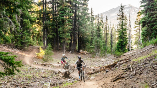 Two mountain bikers on a trail.