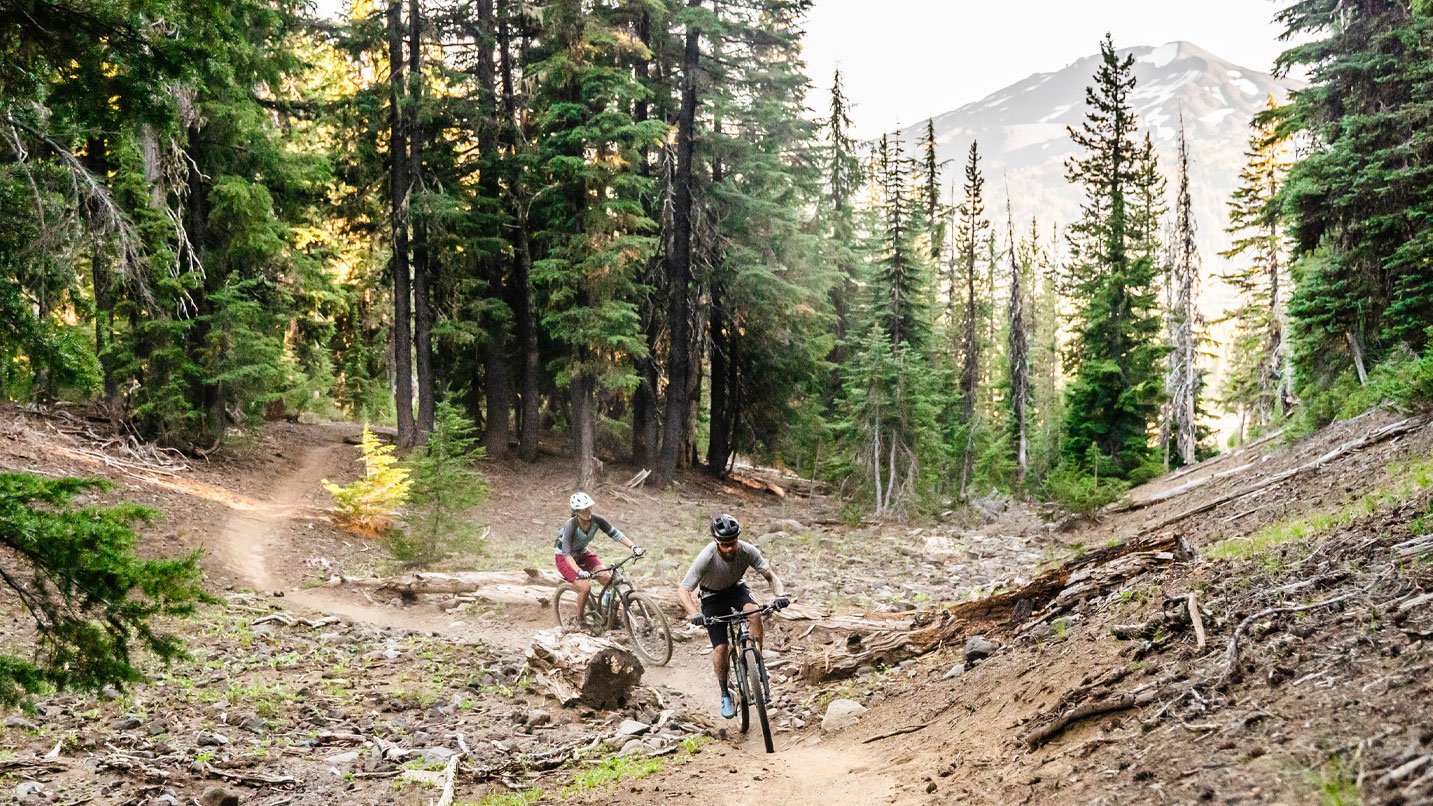 Two mountain bikers on a trail.