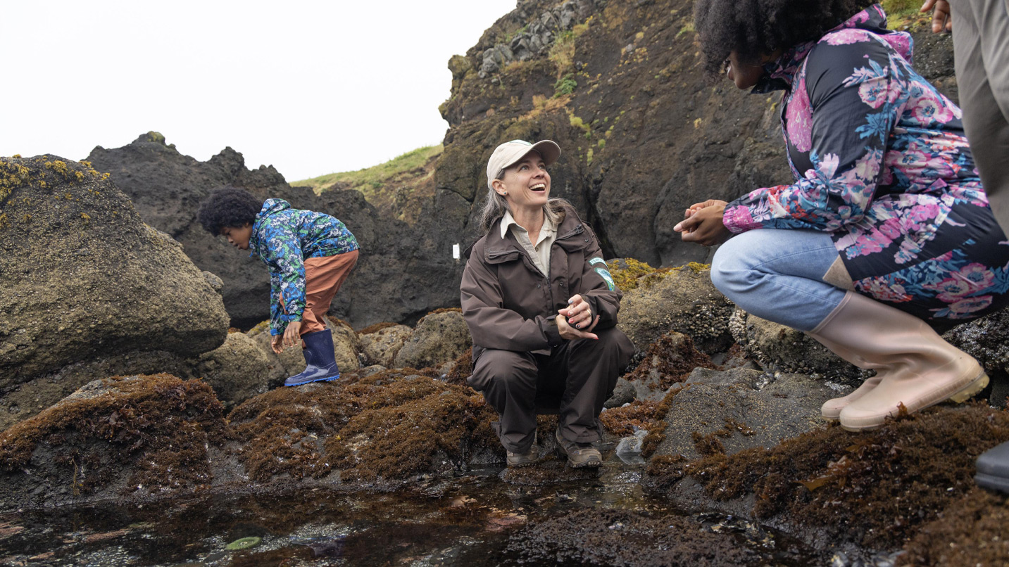A ranger helps a family search a tide pool.