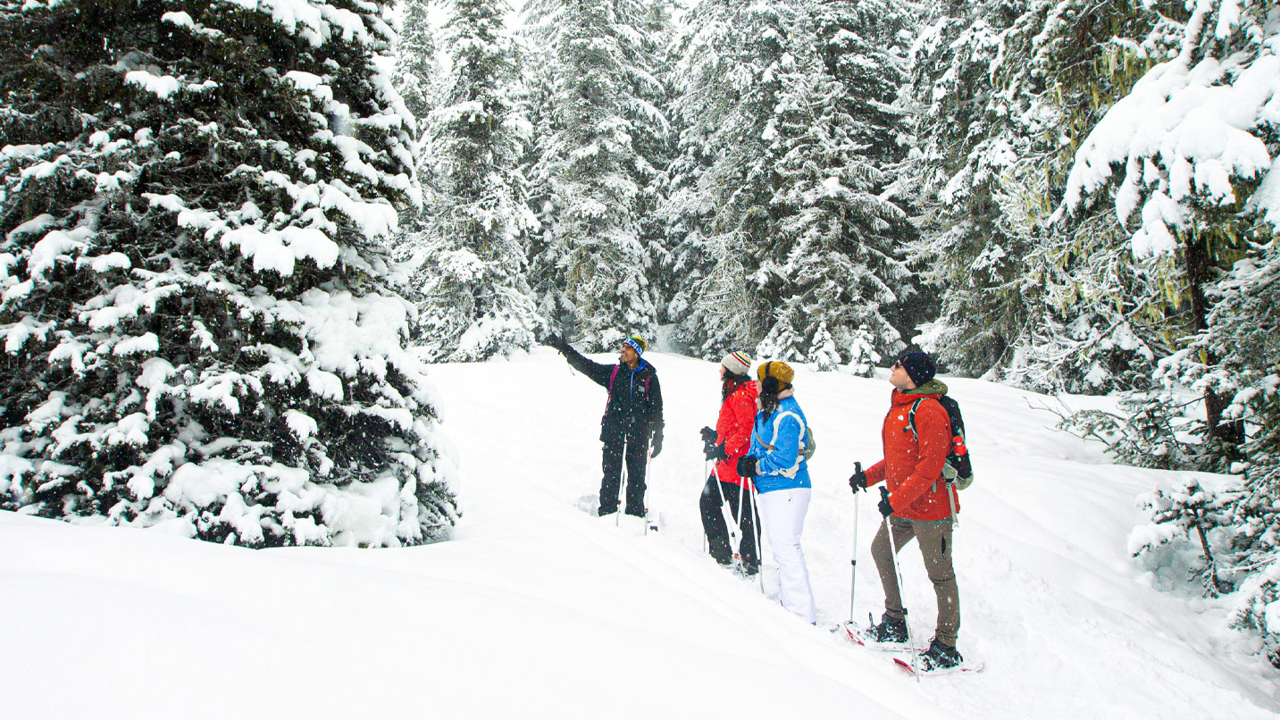 A group of people walking on a snow trail.