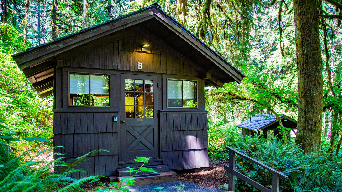 A cabin is nestled in the woods.