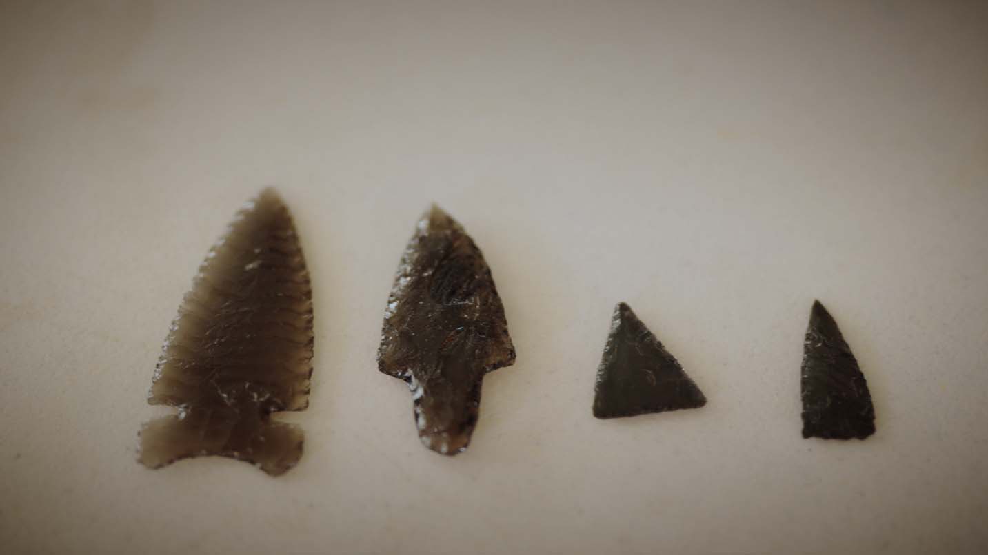 Tribal arrow heads in a display case