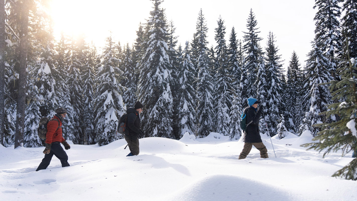 Three people in snow gear snowshoeing through calf-deep snow on a winter day.
