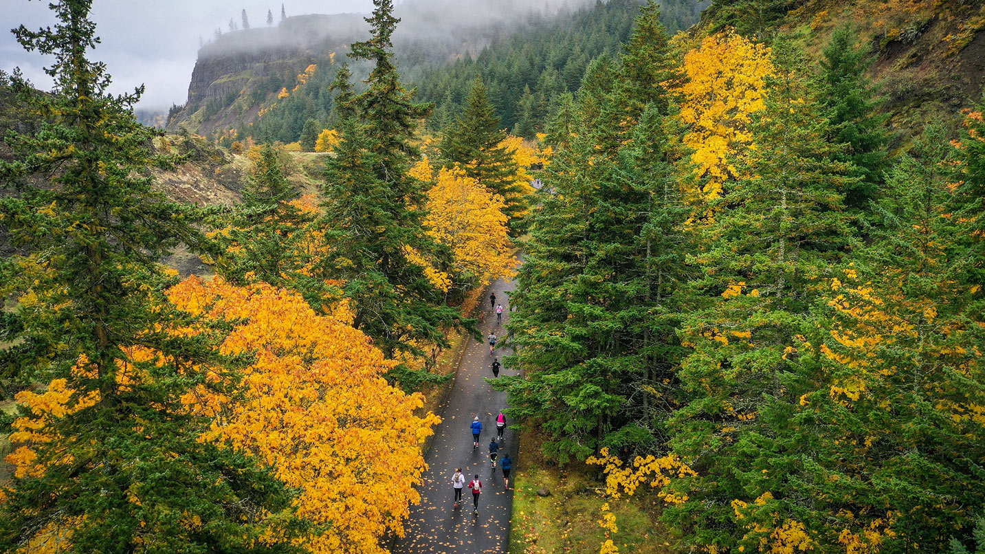 Runners on a paved path through evergreens and golden trees on a fall morning.