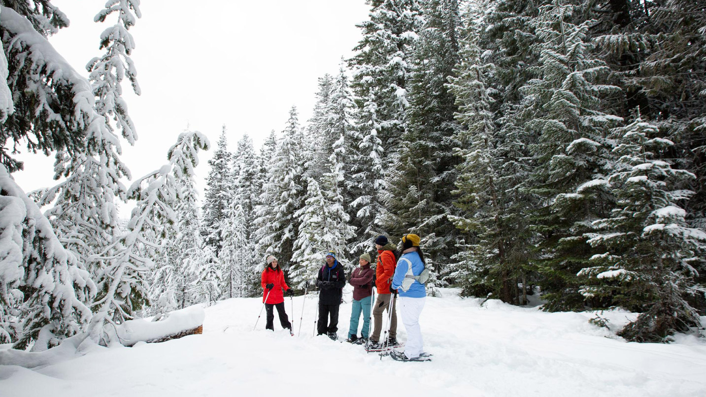 A group of 5 people on a snowshoe tour.