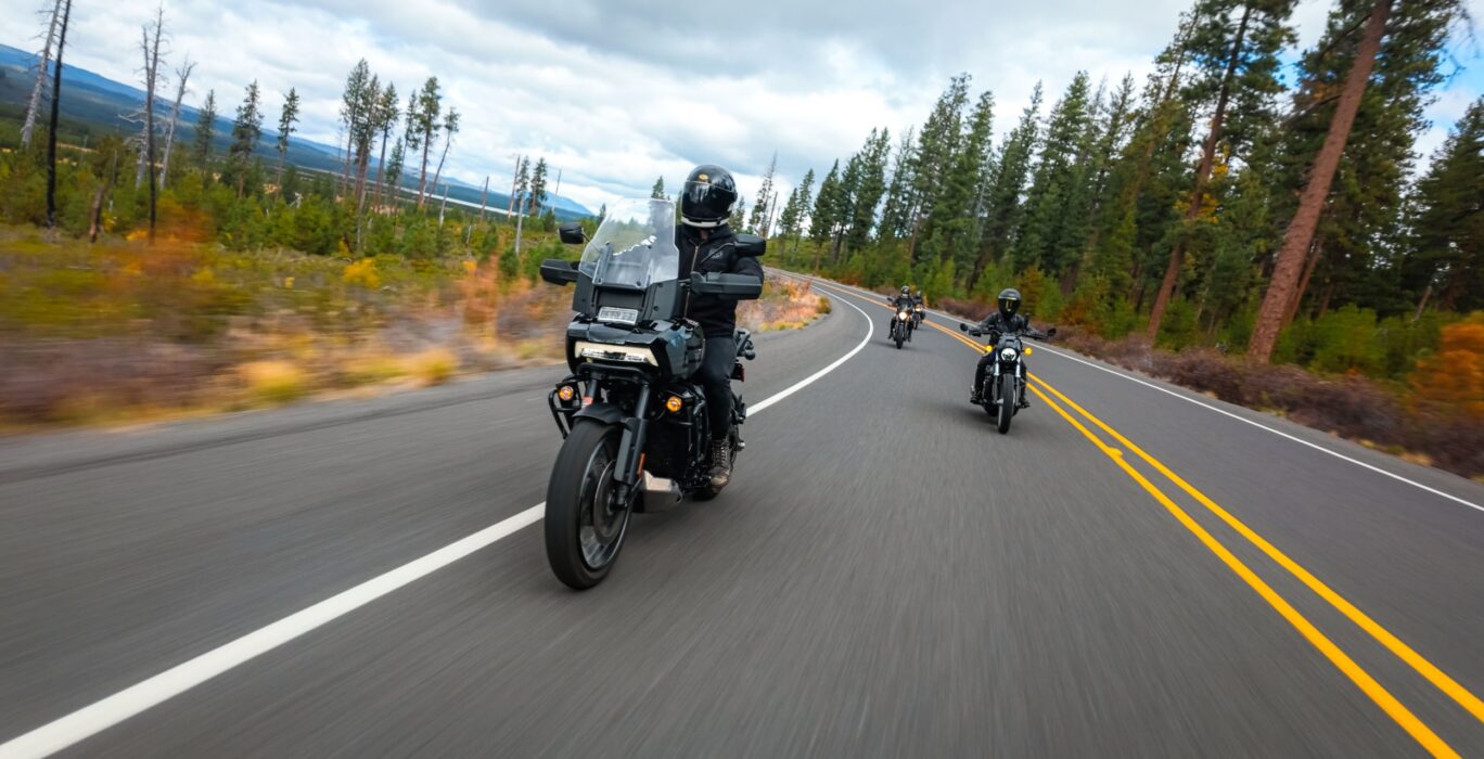 A group of motorcyclists is seen riding along a wide-open forested road.