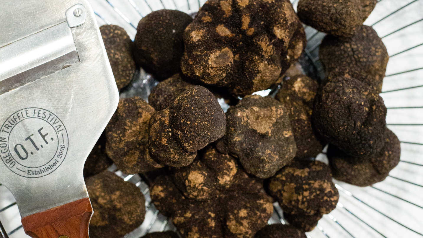 Bowl of black truffles with shaving tool